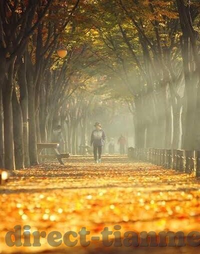 91大象传媒视频-91大象传媒视频，网络文化中的一抹独特风景