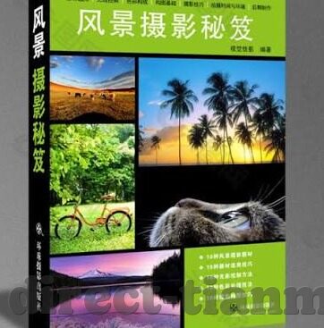 91麻豆精品国产自产在线网站-破晓之光，探索国产自产视频内容的多元化与自给自足
