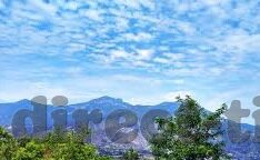 大象传媒18勿进石榴-大象传媒的创意之旅，勿让石榴成为界限