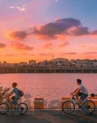 麻豆 91视频-文章，自行探索网路世界的引路之光