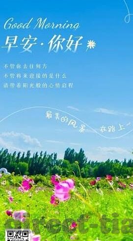 麻豆传煤app怎么下载-麻豆传媒App下载全攻略，从菜鸟到高手的实用指南