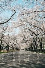麻豆传媒视频入口-解锁创意视野，探索网络内容多元化下的独特体验