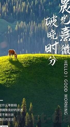 日韩2000av影院-探索日韩AV影院的独特魅力，文化与艺术的交融