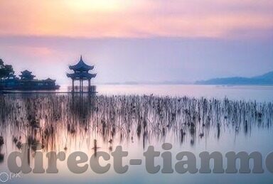 糖心vlog色板-糖心Vlog，记录色彩斑斓的日常生活艺术