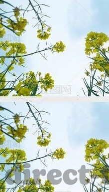 香蕉视频成人影院-香蕉视频与成人娱乐，理性审视网络文化的边界